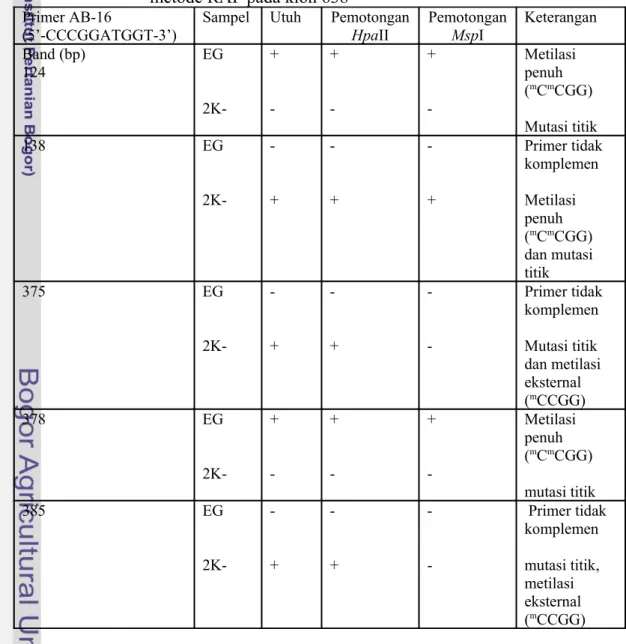 Tabel   11.   Hasil   Deteksi   lokasi     Metilasi   Sitosin     DNA   genom   dengan  metode RAF pada klon 638