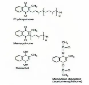 Gambar 2.2. Struktur kimia vitamin K33 