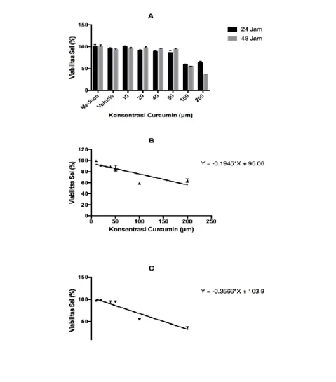 Gambar 1. Hasil Curcumin Sel A549 Toxicity Assay. (A) Viabilitas sel A549  berdasarkan konsentrasi curcumin pada inkubasi 24 dan 48 jam