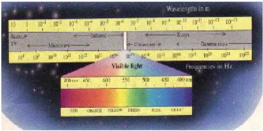 Gambar 2.1 Spektrum cahaya tampak berdasarkan panjang gelombang.  