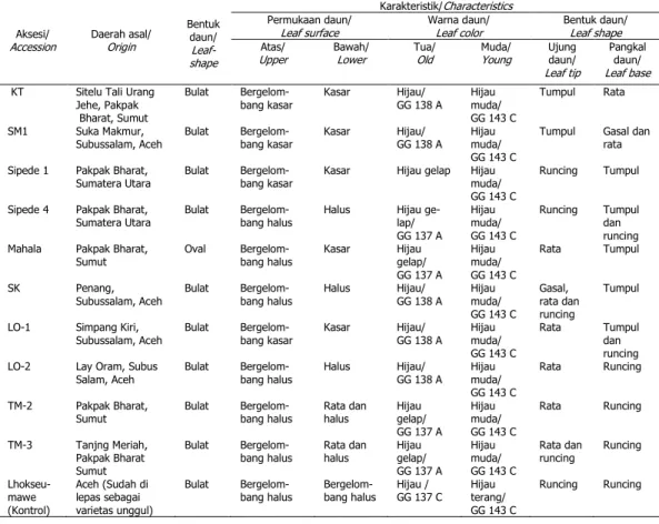 Tabel 1. Karakter morfologi daun nilam 