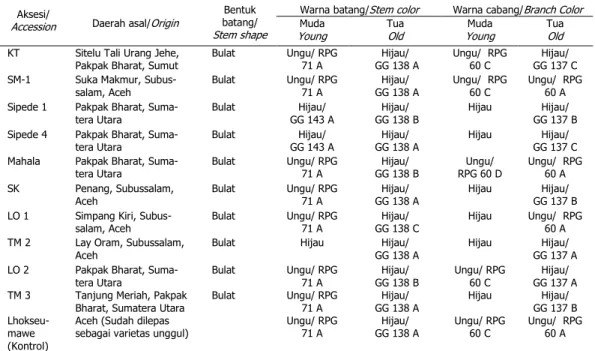 Tabel 3. Karakteristik kualitatif batang dan cabang nilam 