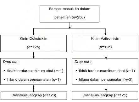 Gambar 4.1. Profil penelitian 