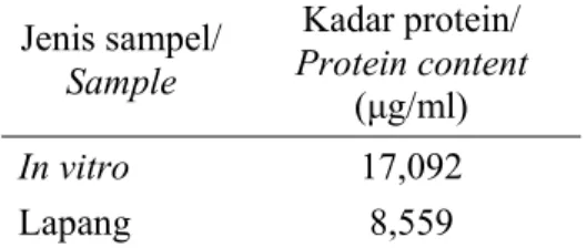 Tabel 2. Kadar  protein total tanaman  pegagan asal in vitro dan  lapang umur panen 9 bulan  Table 2