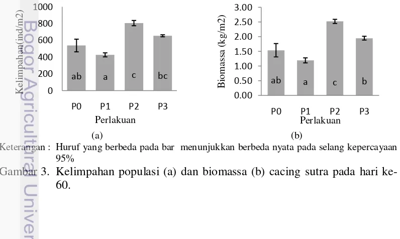 Gambar 3. Kelimpahan populasi (a) dan biomassa (b) cacing sutra pada hari ke-