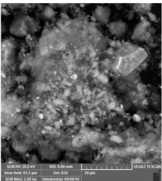 Gambar 4.  Morfologi  bahan  dasar  lempung  laterite dengan scale bar  20 µm 