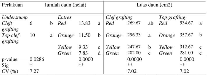 Tabel 3. Jumlah dan luas daun pada grafting bibit jambu mete 