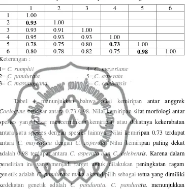 Tabel 4.  Matrik kemiripan berdasarkan penanda morfologi 