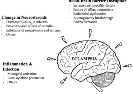 Gambar 1.  Patofisiologi Gangguan Serebral pada Preeklampsia yang mendasari Eklampsia 