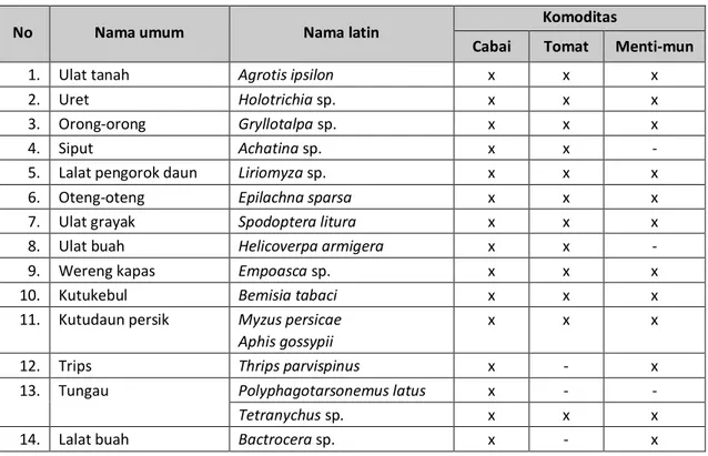 Tabel 1. Daftar hama tanaman cabai, tomat dan mentimun. 