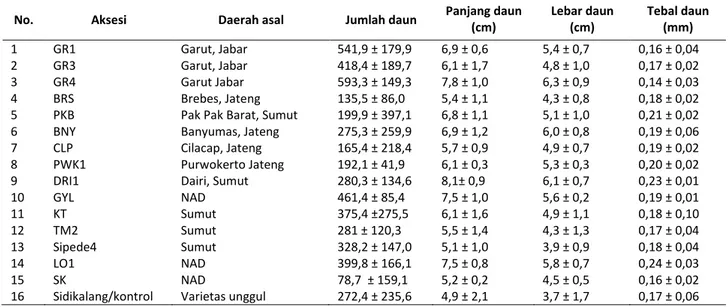 Table 1. Average number of leaves, leaf length, leaf width and leaf thickness at five months after planting (MAP)