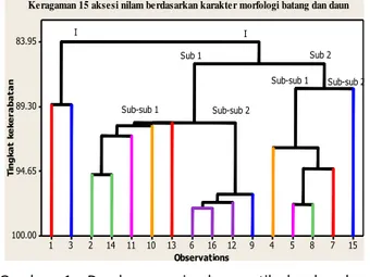 Gambar  1.  Dendrogram  jarak  genetik  berdasarkan  karakter morfologi pada 15 aksesi nilam