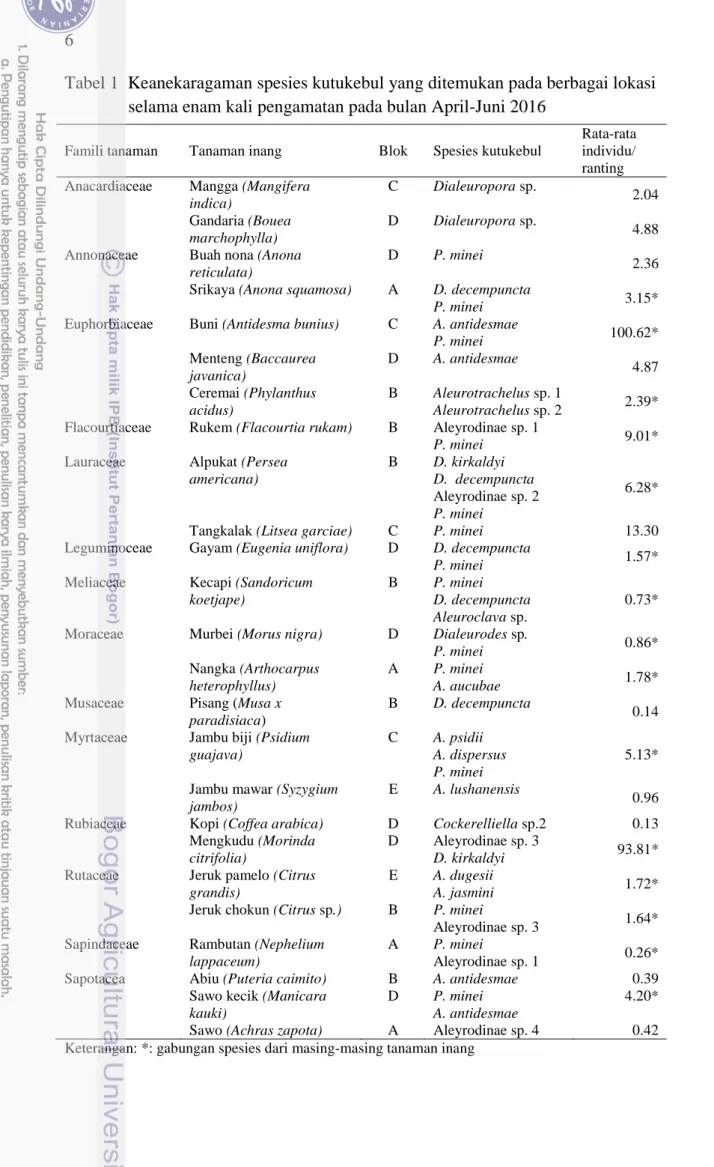 Tabel 1  Keanekaragaman spesies kutukebul yang ditemukan pada berbagai lokasi  selama enam kali pengamatan pada bulan April-Juni 2016 
