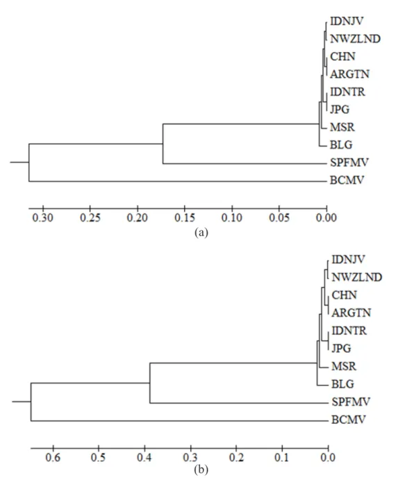 Gambar 3  Pohon filogenetika SPVG Idn-TR dengan isolat SPVG dari negara lain. a,berdasarkan  homologi nukleotida dan b, asam amino