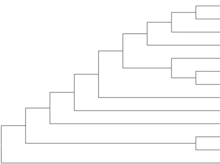 Gambar 9  Filogenetika  kekerabatan  Polerovirus  isolat  cabai  Bali,  Indonesia  berdasarkan  sikuen  nukleotida  sebagian  gen  coat  protein  (CP)  menggunakan  metode  neighbour  joining  tree  pada  program  MEGA  5.1 dengan bootstrap 1000