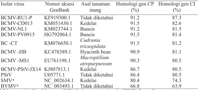 Tabel 2   Analisis homologi nukleotida sebagian gen protein selubung (CP) dan gen cylindrical  inclusion (CI) Bean common mosaic virus (BCMV) isolat koro pedang