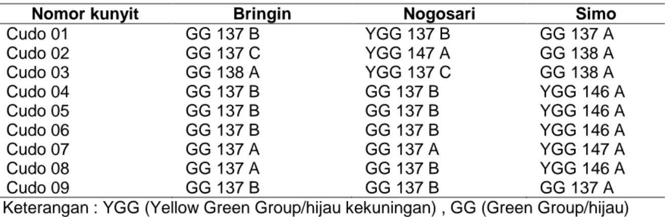 Tabel 6. Warna daun tua bagian atas nomor nomor kunyit di tiga lokasi di Jateng 