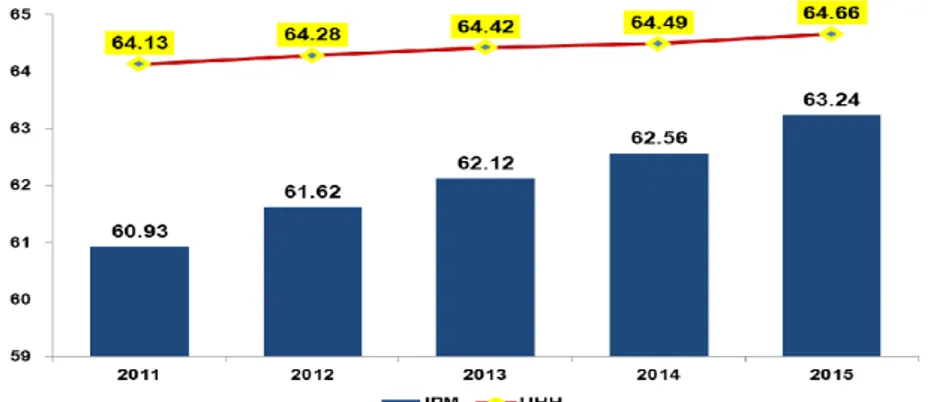Gambar 20.  Indeks Pembangunan Manusia (IPM) dan Umur  Harapan Hidup Kabupaten Barito Kuala Tahun  2011 – 2015 