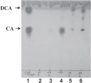 Gambar  2.   Transformasi Na- kolat oleh Lactobacillus sp.