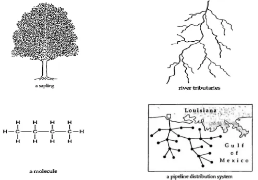 Gambar 6.1 Contoh Struktur Yang Menyerupai Pohon Secara Fisik 