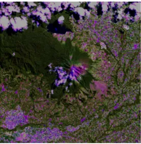 Gambar 3-1.Citra Landsat-8 OLI citra komposit warna dengan berbagai tampilan yang memperlihatkan  tubuh dari stratovolcano G