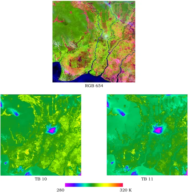 Gambar 3-1: Citra  suhu  kecerahan  Landsat-8  kanal  10  (BT  10)  dan  kanal  11  (BT10)  pada  wilayah  terbakar  (Lokasi:  Pulangpisau  Kalimantan  Tengah,  path/row  118/062,  19  Agustus  2015) 