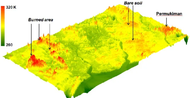 Gambar 3-2: Citra  3-D  suhu  kecerahan  Landsat-8  kanal  10  (atas)  dan  kanal  11  (bawah)  yang  memperlihatkan  karakteristik  suhu  kecerahan  daerah  burned  area,  bare  soil  (tanah  terbuka  non  burned  area),  dan  permukiman