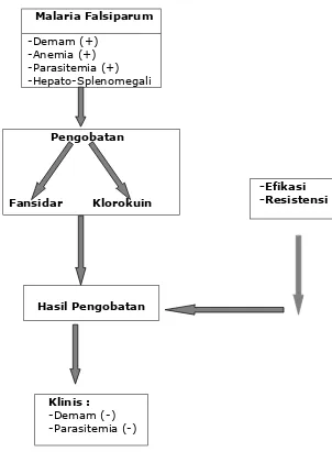 Gambar 2. Kerangka Konsep Penelitian Pengobatan Malaria Falsiparum  