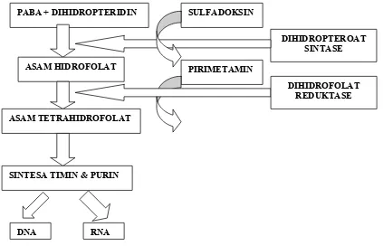 Gambar 6. Struktur Kimia Sulfadoksin-Pirimetamin 3 