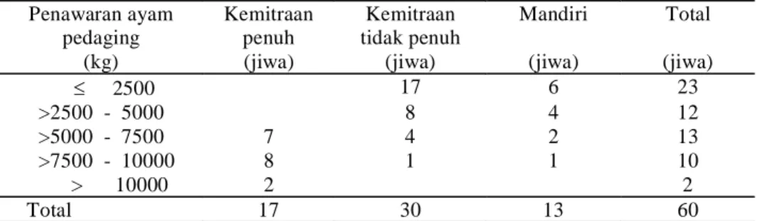Tabel 3. Distribusi Responden menurut Jumlah Penawaran Ayam Pedaging dan Pengalaman Berternak  Penawaran ayam 