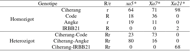 Gambar 4 Elektroforegram hasil validasi gen Xa21 dengan primer pTA248; (M) marker 100 bp DNA  ladder, (Code)  kontrol  positif gen Xa7, (Angke) kontrol positif gen xa5, (Ciherang) tetua betina pembawa sifat Ciherang, (IRBB21) kontrol positif gen Xa21, (IR64) kontrol positif gen Xa4, (B) mengikuti pola pita Ciherang 
