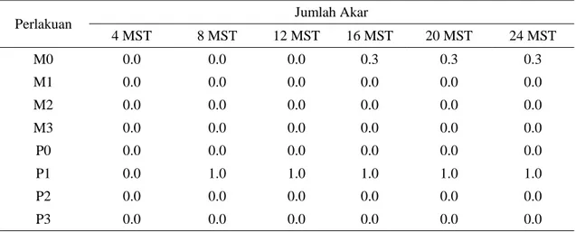Tabel  6.  Nilai  rataan  jumlah  akar  plantlet  kultivar  Nambangan  pada  berbagai  media  perlakuan  mengandung mannitol (M) atau paclobutrazol (P)