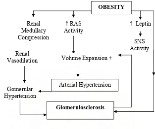 Gambar 2.                         John EH. Hypertension 2003;41:625-33Mekanisme obesitas menyebabkan  kerusakan ginjal    