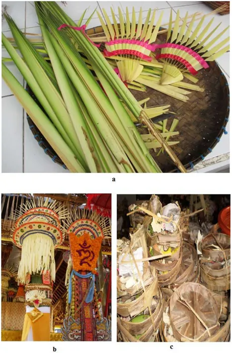 Foto 2. Contoh pemanfaatan bagian tumbuhan upacara dalam sarana  upakara. a) Pemanfaatan daun kelapa muda sebagai sampian