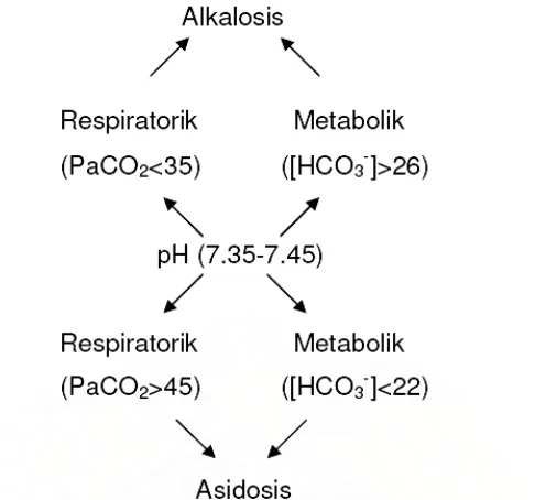 Gambar 6. Kategori dua kemungkinan asidosis atau alkalosis 