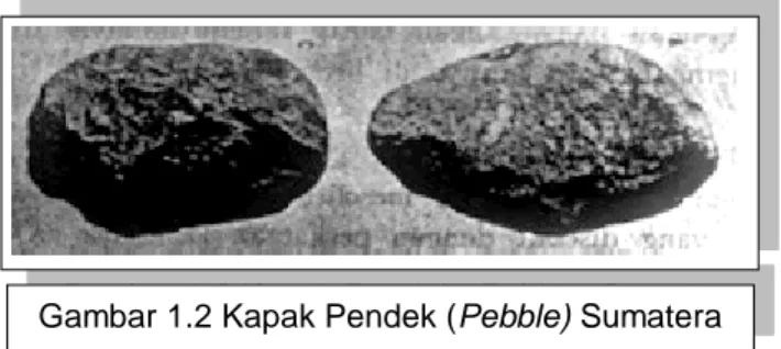 Gambar 1.2 Kapak Pendek (Pebble) Sumatera Dalam  kehidupan  masa  Paleolitik  ini  secara  tidak  langsung  terjadi 