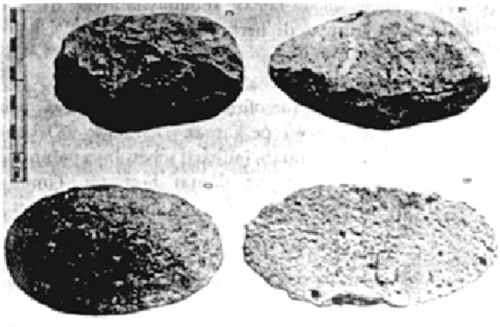 Gambar 1.5. Pebble/Kapak Sumatera.