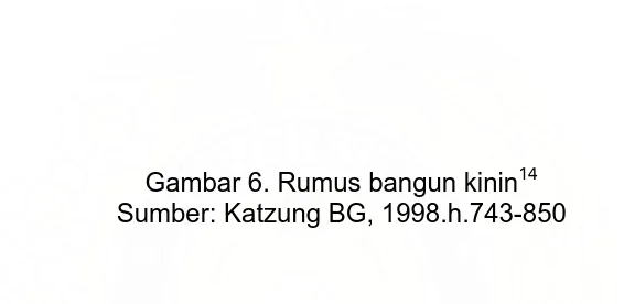 Gambar 6. Rumus bangun kinin14Sumber: Katzung BG, 1998.h.743-850 