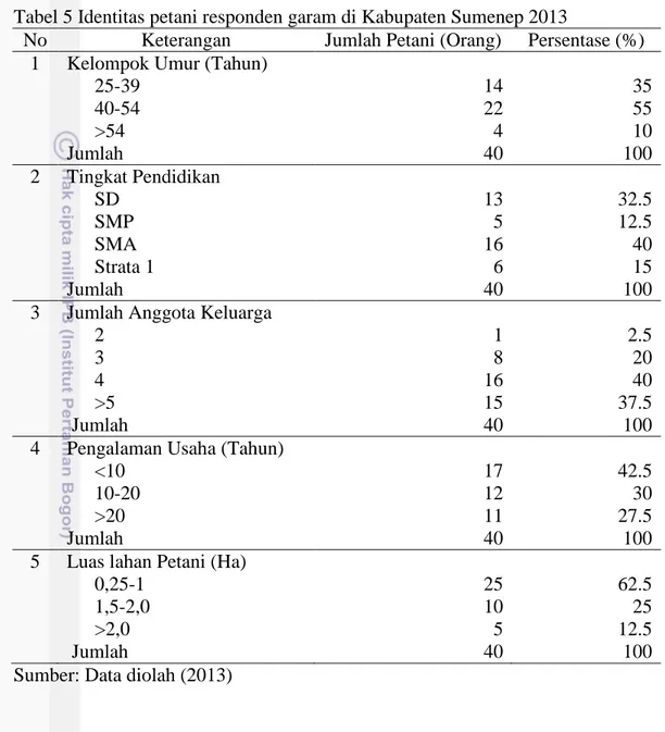 Tabel 5 Identitas petani responden garam di Kabupaten Sumenep 2013 