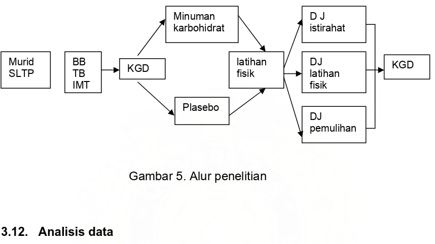 Gambar 5. Alur penelitian 