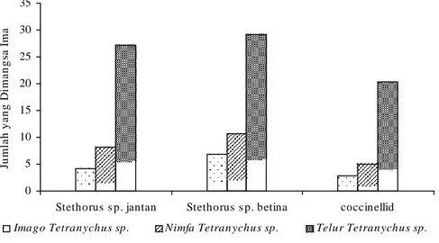 Gambar  6.  Rata-rata  Jumlah  Berbagai  Stadia  Tetranychus  sp.  yang  Dimangsa  Imago  Jantan  dan  Betina  Stethorus sp