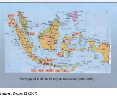 Gambar 13. Peta penyebaran serotipe virus Dengue di 19 kota di Indonesia 