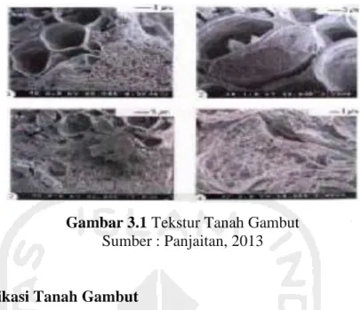 Gambar 3.1 Tekstur Tanah Gambut  Sumber : Panjaitan, 2013  