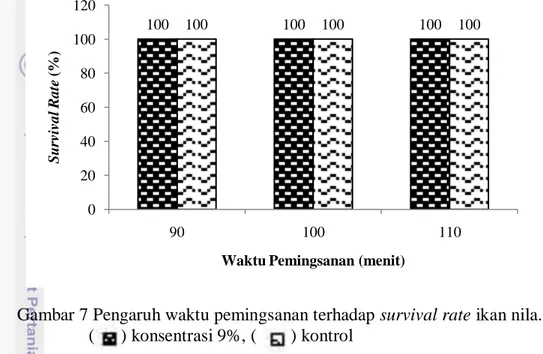 Gambar 7 Pengaruh waktu pemingsanan terhadap survival rate ikan nila. 