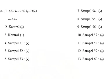 Gambar 9. Hasil RT-PCR dari virus Dengue dari sampel 61 sampai dengan 70 dari Kecamatan Medan Baru 