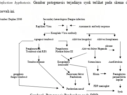 Gambar1. Patogenesis Perdarahan pada DBD 