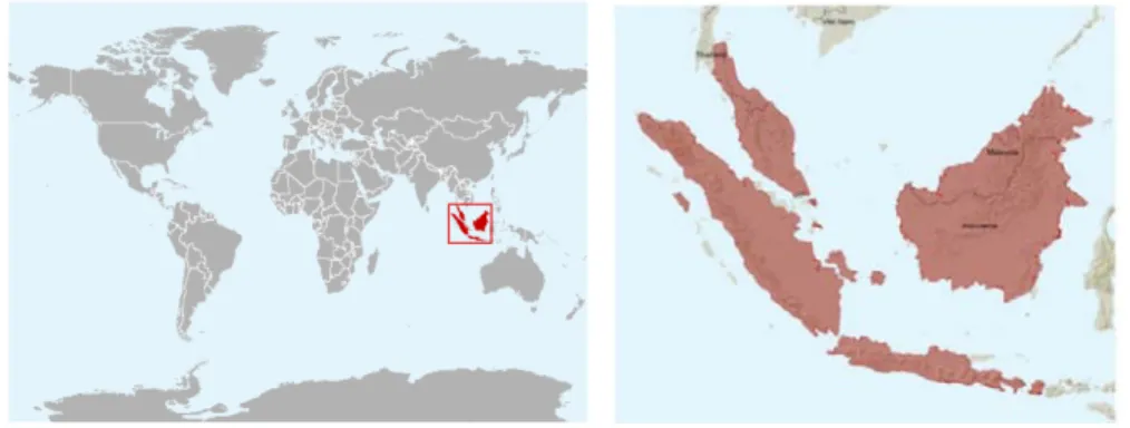Gambar 3  Lokasi penyebaran muncak di Indonesia yang meliputi Pulau Sumatera, Pulau  Jawa, Pulau Kalimantan, Pulau Bali dan Lombok (Sumber: IUCN 2011)