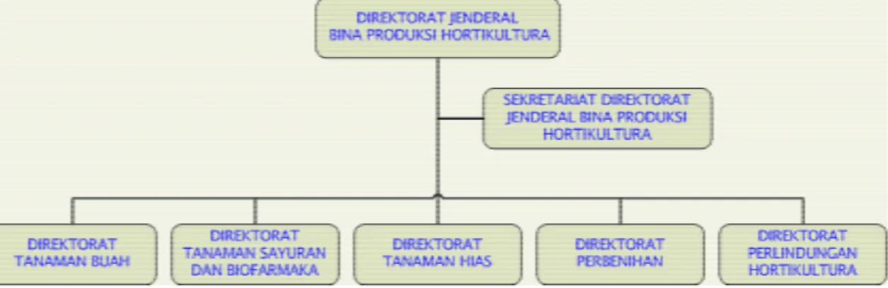 Gambar 4.2.  Struktur Organisasi Ditjen Bina Produksi Hortikultura 