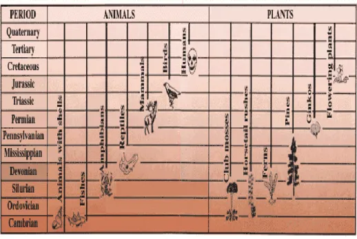 Gambar  9-5.  Kemunculan  dari  beberapa  kelompok  binatang  dan  tumbuh- tumbuh-tumbuhan  dalam  kurun  waktu  geologi,  mulai  dari  zaman  Kambrium hingga ke zaman Kuarter
