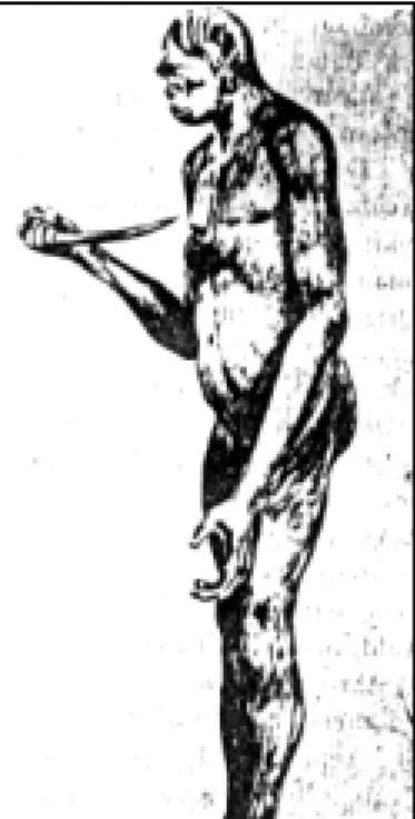 Gambar 11. Homo Erectus.